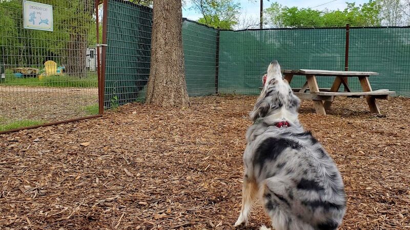 The Watering Bowl - Austin, TX