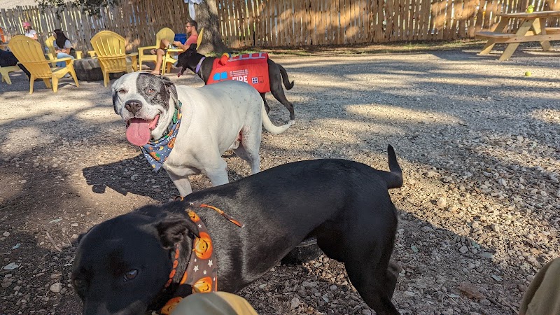 The Watering Bowl - Austin, TX