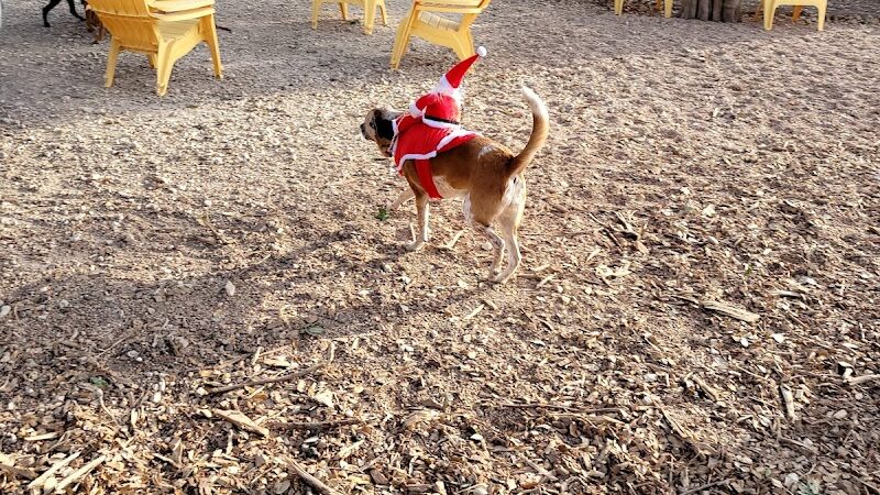 The Watering Bowl - Austin, TX