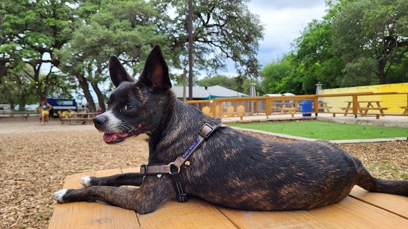 The Watering Bowl - Austin, TX