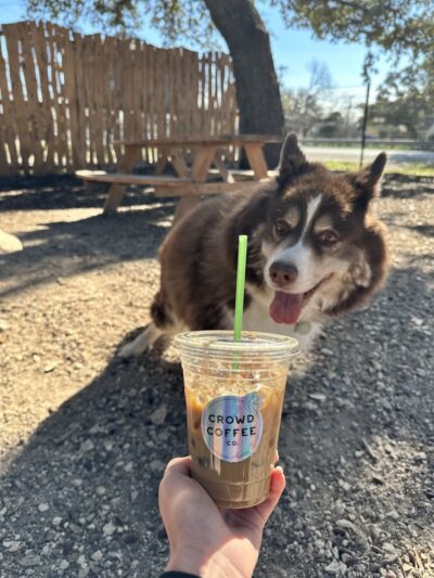 The Watering Bowl - Austin, TX