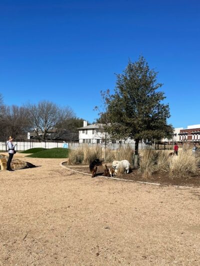 WB MUD Dog Park - Austin, TX