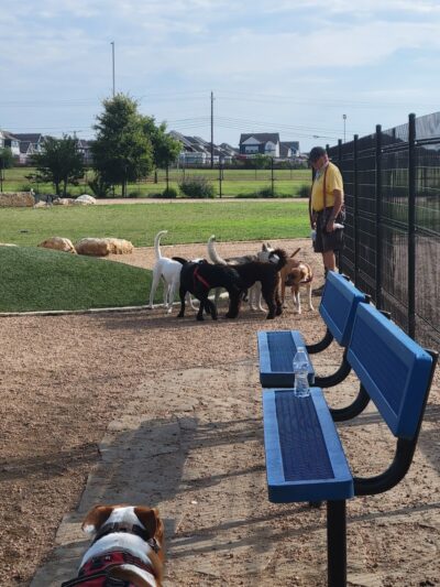 WB MUD Dog Park - Austin, TX