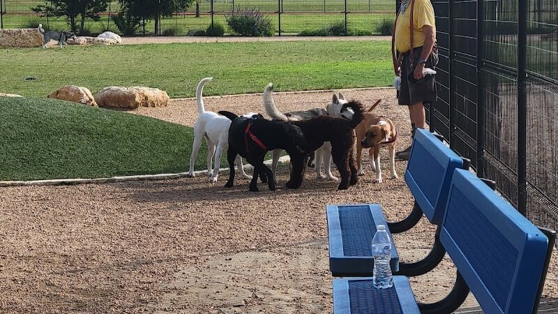 WB MUD Dog Park - Austin, TX
