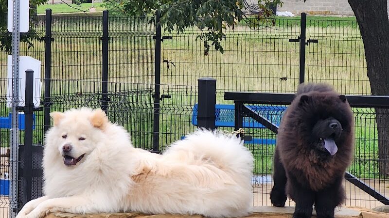 WB MUD Dog Park - Austin, TX