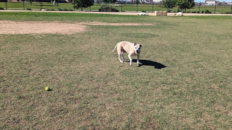 WB MUD Dog Park - Austin, TX