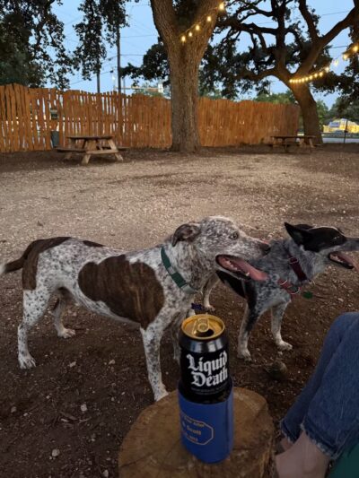 The Watering Bowl - Austin, TX
