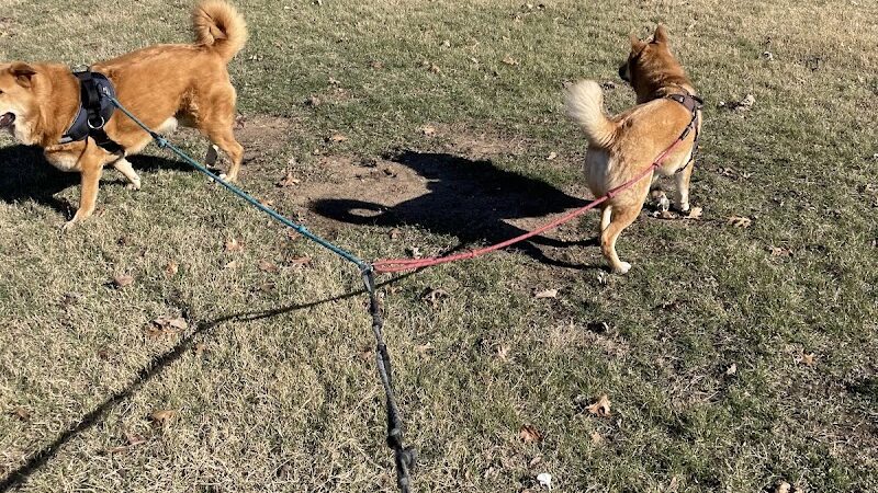 Onion Creek Doggy Park - Austin, TX