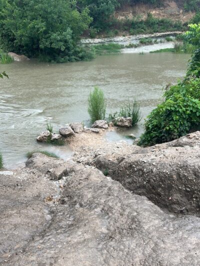 Onion Creek Doggy Park - Austin, TX