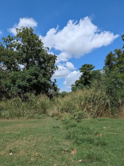 Onion Creek Doggy Park - Austin, TX