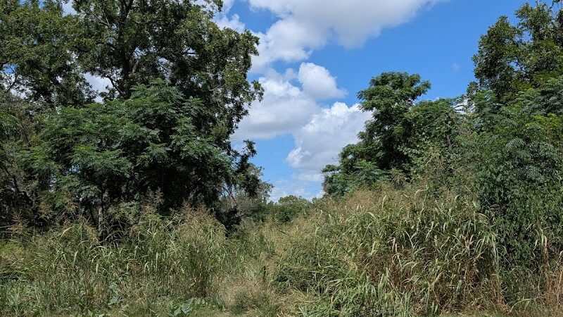 Onion Creek Doggy Park - Austin, TX