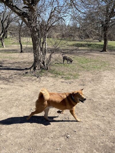 Onion Creek Doggy Park - Austin, TX