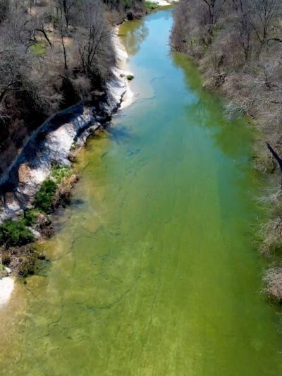 Onion Creek Doggy Park - Austin, TX
