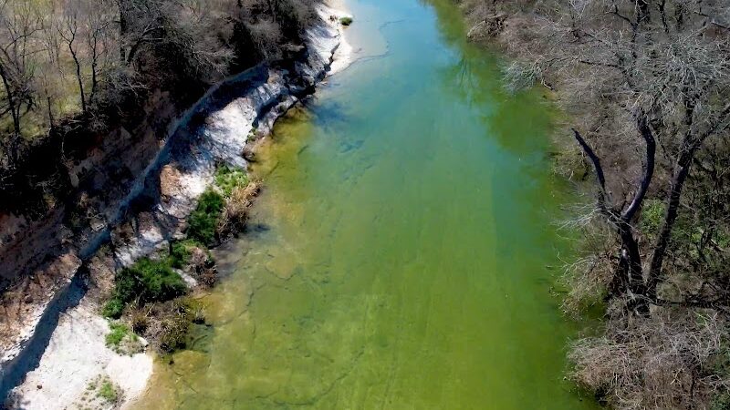 Onion Creek Doggy Park - Austin, TX