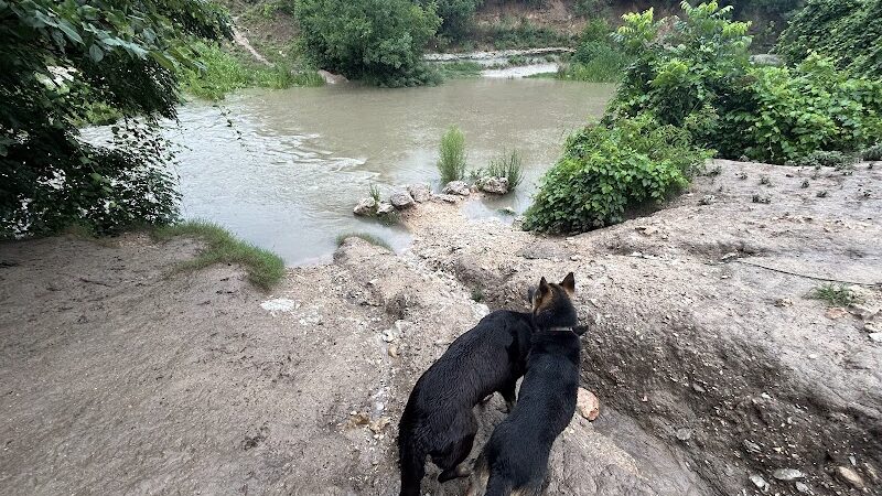Onion Creek Doggy Park - Austin, TX