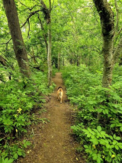 Onion Creek Doggy Park - Austin, TX
