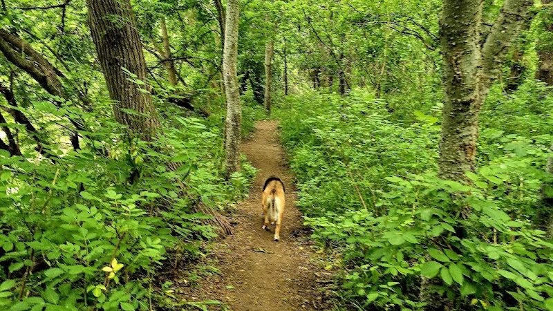 Onion Creek Doggy Park - Austin, TX