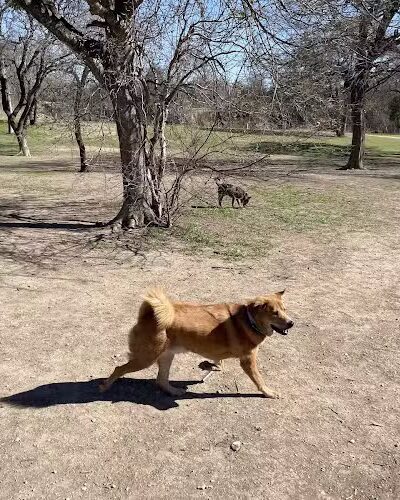 Onion Creek Doggy Park - Austin, TX