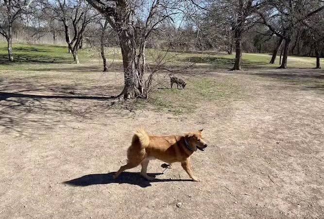 Onion Creek Doggy Park - Austin, TX
