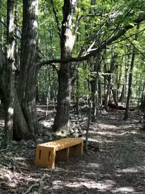 Sand Lake Walking Trail - Averill Park, NY