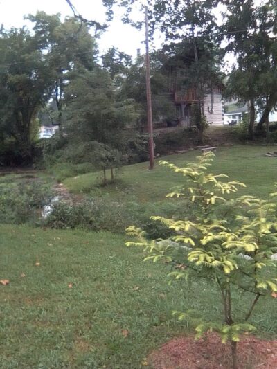 Avoca Park and Rec Area - Avoca, IN