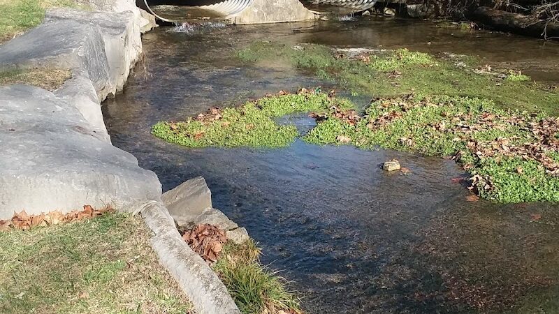 Avoca Park and Rec Area - Avoca, IN