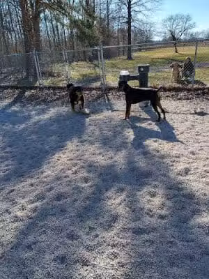 Avon Lake Dog Park - Avon Lake, OH