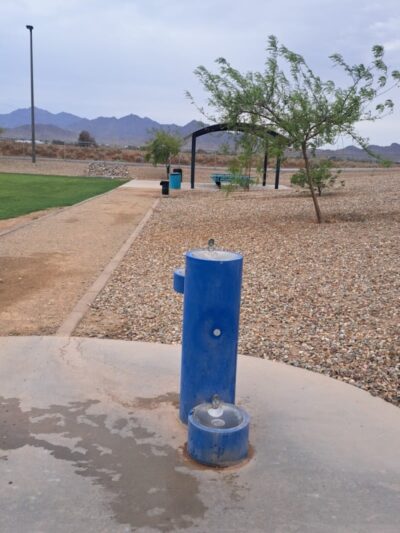 Avondale Festival Fields Dog Park - Avondale, AZ