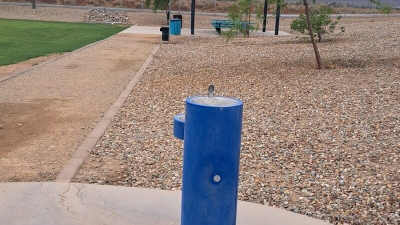 Avondale Festival Fields Dog Park - Avondale, AZ