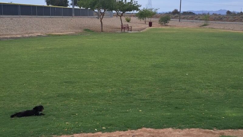 Avondale Festival Fields Dog Park - Avondale, AZ