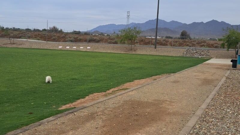 Avondale Festival Fields Dog Park - Avondale, AZ