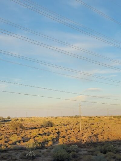 Friendship Dog Park - Avondale, AZ