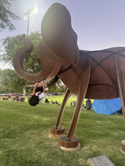 Friendship Park - Avondale, AZ