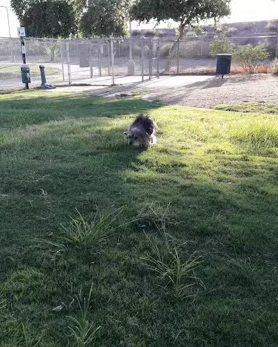 Friendship Park - Avondale, AZ