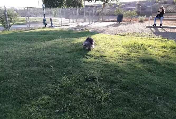 Friendship Park - Avondale, AZ