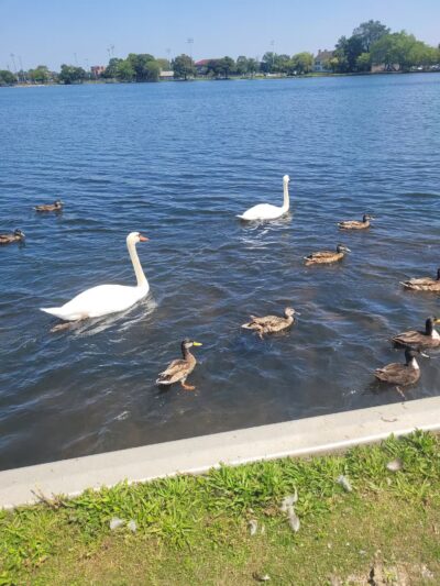 Argyle Lake Park - Babylon, NY