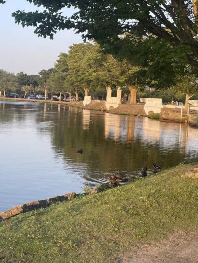 Argyle Lake Park - Babylon, NY