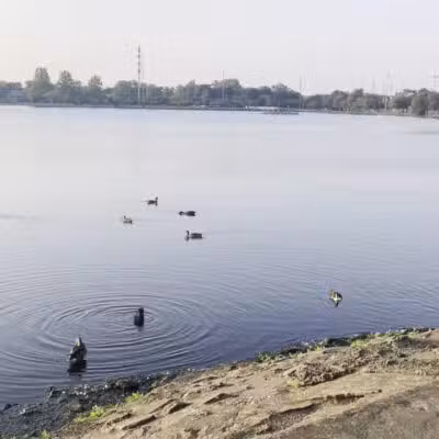 Argyle Lake Park - Babylon, NY