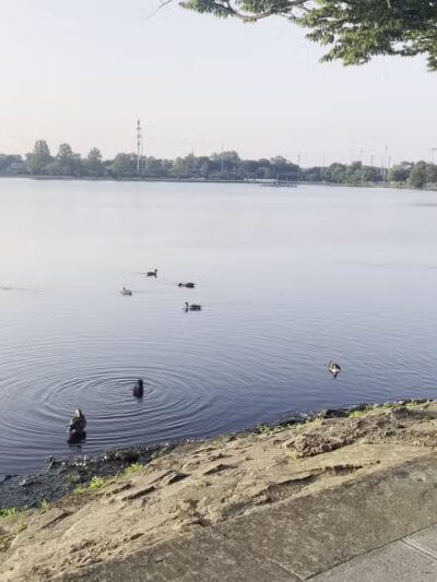 Argyle Lake Park - Babylon, NY