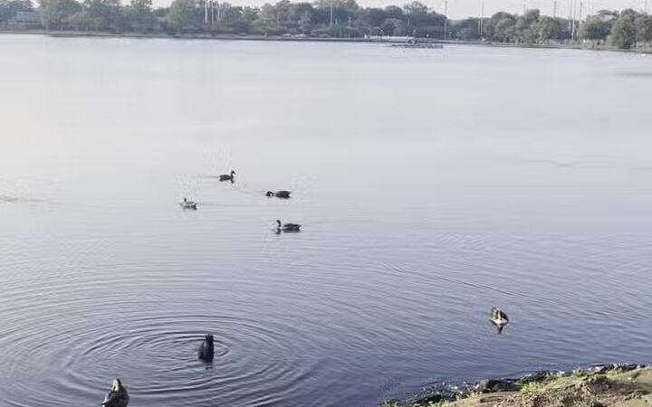 Argyle Lake Park - Babylon, NY
