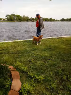 Argyle Lake Park - Babylon, NY