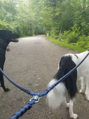 Southards Pond Park - Babylon, NY
