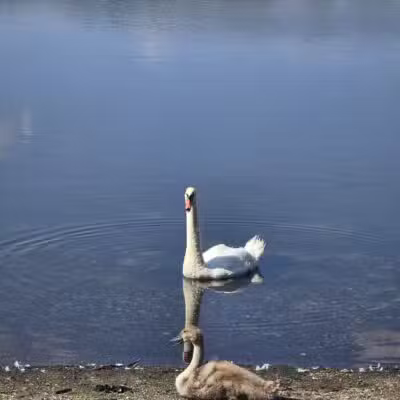Southards Pond Park - Babylon, NY