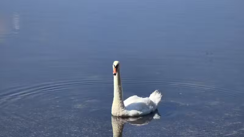 Southards Pond Park - Babylon, NY