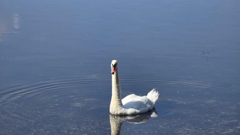 Southards Pond Park - Babylon, NY