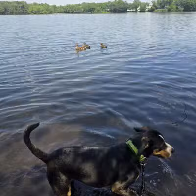 Southards Pond Park - Babylon, NY