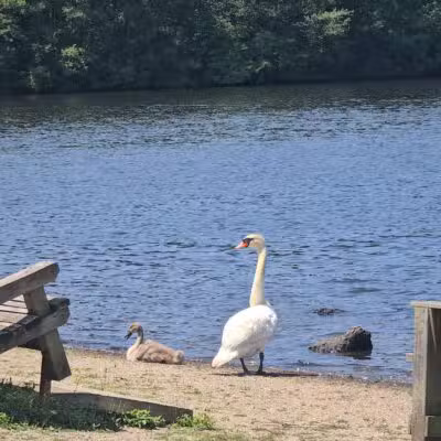 Southards Pond Park - Babylon, NY