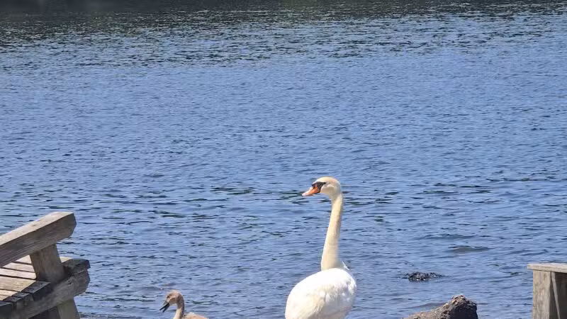 Southards Pond Park - Babylon, NY