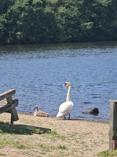 Southards Pond Park - Babylon, NY