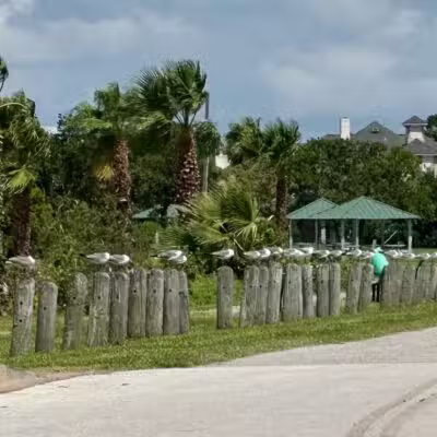 Bayshore Park - Bacliff, TX
